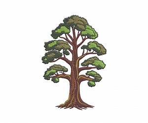 Pine Tree With Large Trunk Machine Embroidery Design Firstno: Nature Trees Pattern (instant Download) - Etsy