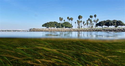 Climate change is outpacing evolution. Scientists are using DNA to catch up