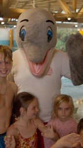 Celebrate your birthday at Splash Lagoon!拾 | Splash Lagoon Indoor Water Park Resort | Facebook