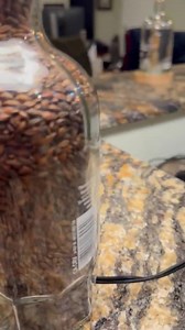 Malted barley filled Sazerac Rye Whiskey Bottle Lamp