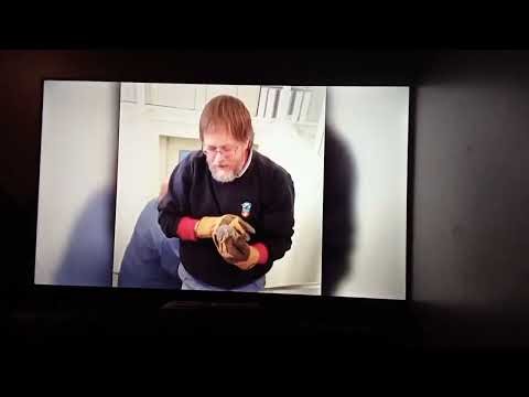 Afv flatable pool problems vs self-hurling squirrels