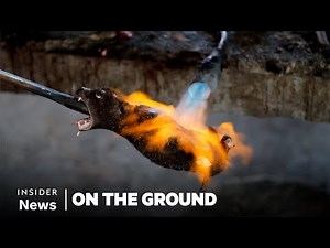 Were Bats To Blame For The COVID Pandemic?