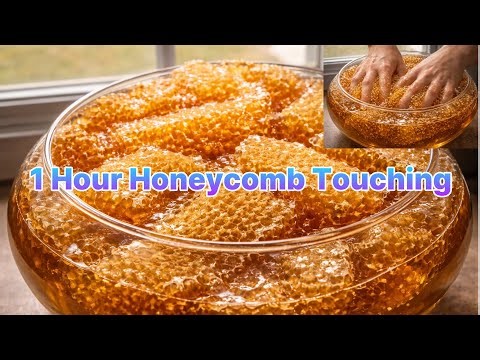 1 Hour Honeycomb Touching ASMR 🍯No Talking | Sleep / Study / Focus