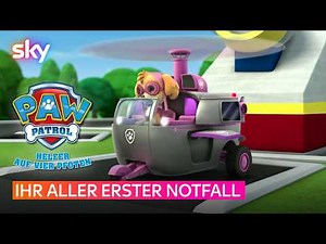 Wie alles begann... I Paw Patrol - Helfer auf vier Pfoten I Sky