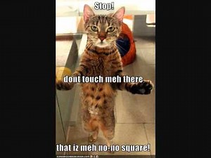 No no square remix!