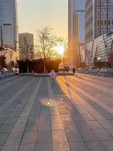 可愛いうさぎちゃんスーツ！ お子様とのお出かけやパーティーで注目されます！ 👉商品リンクはこちら→ https://ez2get.theshop.jp/items/96199838 #ウサギスーツ #コスチューム #パーティー #かわいい #コスプレ #Lovely_fluffy_shop