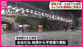 Tokyo Plows Through Snow