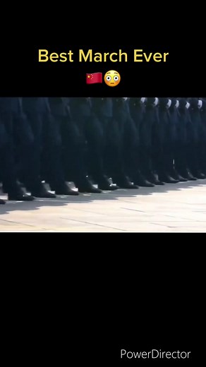 Shadowwolfs2 on TikTok