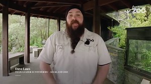 10K views · 344 reactions | Could you spot the difference between a...