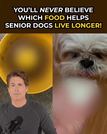 Actor and dog-dad Rob Lowe says: NEVER feed your dogs these foods! 🙅 ❌ Avoid these “No Go” foods at all costs if you want your dog to feel their best. ✅ Instead, reach for the “Go foods” the actor shares in this video — watch it now to see what to feed your dog to give them more energy, flexible joints, strong muscles, and a full, healthy life. 👉 https://rebrand.ly/RobLoweDogFood | Rob Lowe