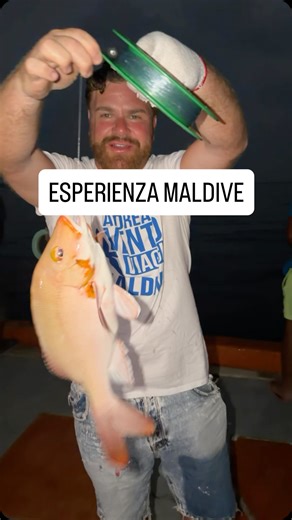 Andrea Vento on Instagram: "Alle Maldive un’esperienza da fare è la pesca al tramonto ! Prenota i viaggi di gruppo MALDIVE 10-19 e 17-26 Gennaio 2027 da 1590€ a persona in camera doppia . Blocca subito con acconto. NON FARTELO RACCONTARE !! Info whatsapp 3779717927 oppure entra in tutte le agenzie Andrea Vento viaggi ❤️✈️ segji @andreavento_viaggi . Ovviamente sono disponibili anche viaggi individuali e non di gruppo per tutto l’anno, con prezzi da 1850€ a persona. Segui le mie stories su Instag