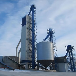 [Hot Item] Low Cost 50 Ton Maize Silo Rice Paddy Silos Grain Silo for Wheat Corn Soybean Mung Bean Price