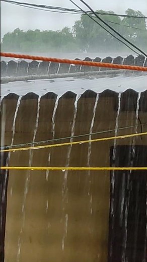 Free Rain Sounds | Rain Video Clips | For Sleep and Relaxation | NO Copyright | 004 #youtubeshorts