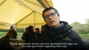 2.9M views · 6.2K shares | This is how the best caviar is made. | Seeker by The Verge | Facebook