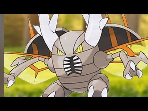 Mega Pinsir Solo With Shadow Salamence (No WB)