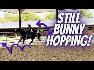 Still Bunny Hopping | Realtime Horse Training | Walking Horses