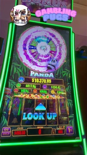 Wicked Wheel Panda – Wheel Bonus Win! 🐼🎰🔥 | Gambling Pugs