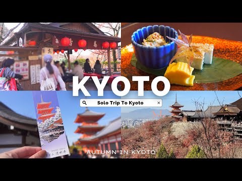 【Kyoto Vlog】1泊2日心が満たされるひとり旅🚶‍♀️‍➡️｜気の向くままに京都で1人時間を満喫🍵｜清水寺⛩️ 鴨川🦆 京都グルメ🍽️ 京都の路地🍃 一人旅におすすめのホテル🌳etc...