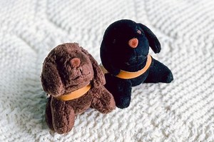 Shop - Guide Dogs Singapore Ltd (GDS)