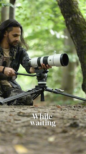 Sasan Amir | Wildlife Photographer on Instagram: "The coati, also known as the white-nosed coati (*Nasua narica*), is a fascinating mammal commonly found in Costa Rica’s forests, including tropical rainforests and dry deciduous forests. These agile creatures are part of the raccoon family and are easily recognizable by their elongated snouts, bushy ringed tails, and curious demeanor. Highly social animals, coatis often travel in groups called bands, foraging for fruits, insects, and small verteb