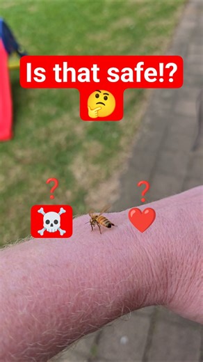 I love Beekeeping. #beekeeper #teaching #dontfear