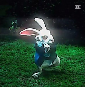 #os caminos llevan a roma