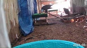 51K views · 1.6K reactions | Murphy knows that the best thing to do...