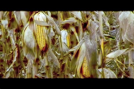 HalloweeNight | movie | 2009 | Official Trailer