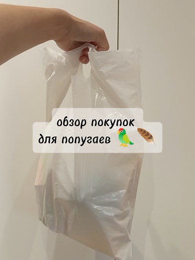 Лучшие поилки для попугайчиков: обзор и советы