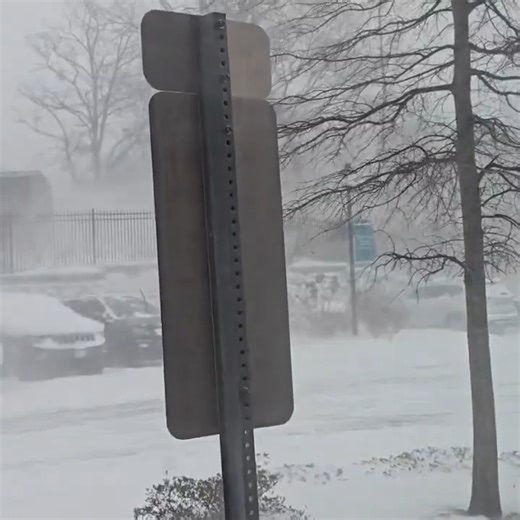 🌨️ Intensos vientos y nieve azotaron partes de Carolina del Norte el 31 de enero, mientras una tormenta invernal azotaba la región. Las imágenes muestran fuertes vientos y nieve azotando Hendersonville, Carolina del Norte. El Servicio Meteorológico Nacional instó a los residentes locales a evitar viajar, advirtiendo que "las carreteras con aguanieve o humedad se convertirán rápidamente en hielo sólido después del atardecer, o incluso antes". Crédito: @CountryHickGuy vía Storyful | El Universal 