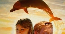 A Dolphin Kick (2019)  - Ver Película Completa en Español / Castellano - FULLTV