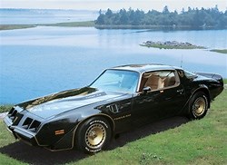 Firebird Central | 1980 Turbo Trans Am SE Special Edition Decal Kit, Roll Pinstripes, Purchase Today!