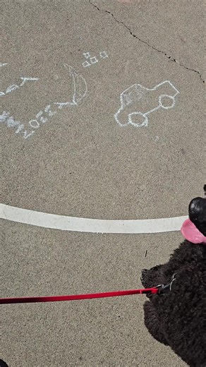 Boy dogs be like 🤣 #dog #shrek #boydog