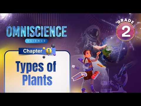 Types of Plants | Science Class 2 | Chapter 1 | IP Study