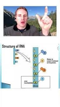 Try This Hack! Base Pairing Rules That Control Your DNA 🧬