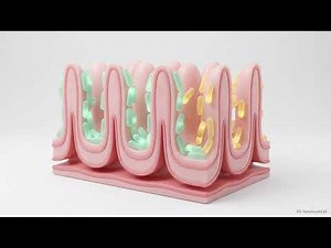 Serine (Ser): The Amino Acid That Builds Life | Human Architecture