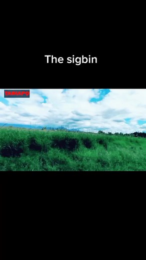 The Sigbin, a creature from Philippine mythology #thesigbin #sigbin #cryptid #cryptids #unexplained #phillipinemythology #mythology