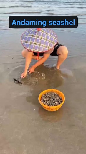 Ginhawa lang pang ulam kapag malapit ka sa dalampasigan #sea #shells #water #reelsfacebook #reelsvideo #reelsfb | Eliseo Trinidad Francisco