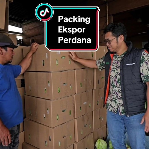 Tips Ekspor Hasil Bumi: Cara Packing dan Menyimpan Tanaman
