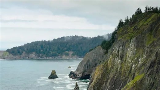 Skeletal Remains Found on Beach Identified as Former Mayor Who Vanished 20 Years Ago and Was Declared Legally Dead
