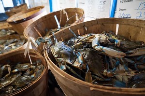 Seafood Economic Analysis and Marketing Research