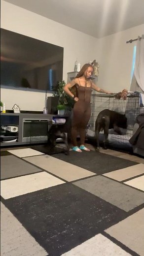 Ghost Helping Me Train Gucci 🥰🐶 #dreeandghost #canecorso #texas #italianmastiff