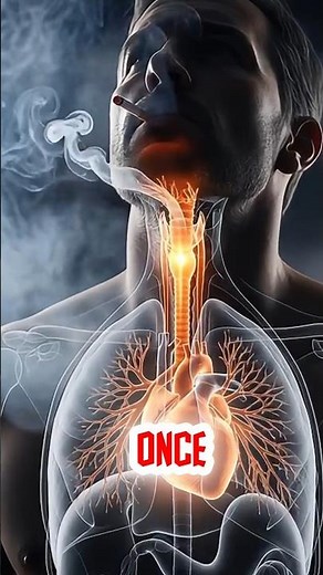 “What Daily Smoking Really Does Inside Your Body | The Silent Damage Explained”