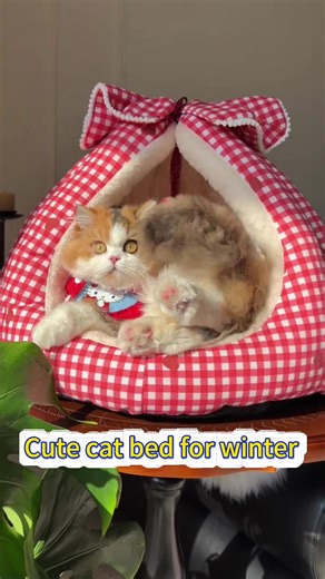 Discover the Cozy Monster Cat Bed for Your Furry Friends