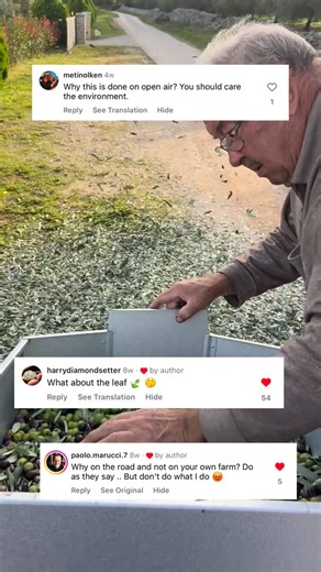 Turinela on Instagram: "What do we do with our olive leaves after the harvest? 🧐🍃🌳 #turinela #evoo #turinelaoliveoil #croatia #oliveoil"