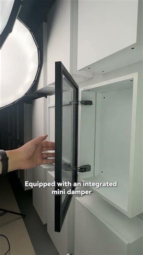 T125A 3D Adjustable Aluminum Frame Hinge -Previous Episode