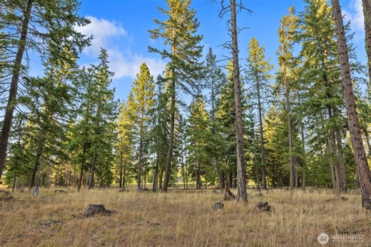 32 Domerie Park Loop, Cle Elum, WA 98922 - MLS 2472435 - Coldwell Banker