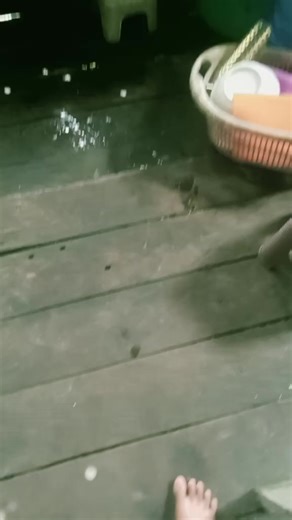 gegara scroll Tik tok nih😭🤣🤣#nttpride🏝🔥kupangntt💯 #fypシ゚ #telurgosong