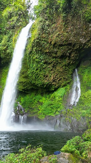 Catarata Dos Novillos, Pocora, Guacimo, Costa Rica 🇨🇷 #nature #naturelovers #CostaRica | AlexCala Rides
