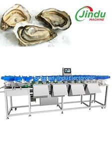 [Hot Item] Industrial Automatic Oyster Grader Seafood Fish Clam